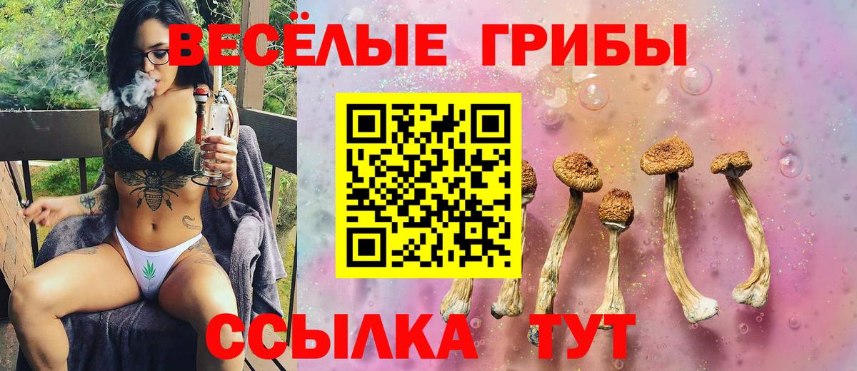 Удомля  Галлюциногенные грибы мухоморы  Вход с VPN 